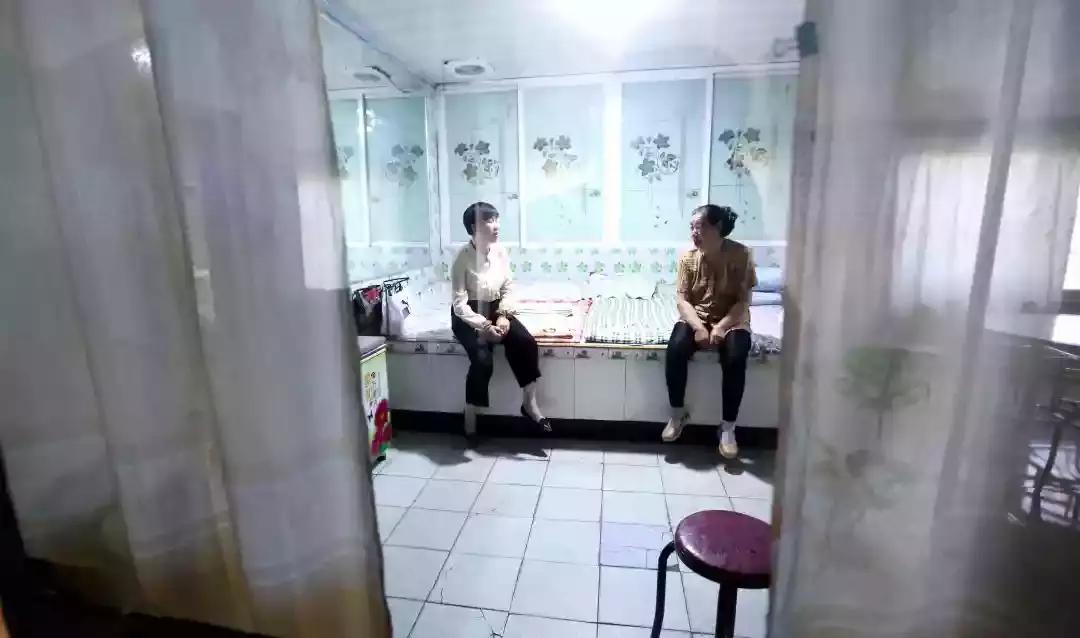 奈曼三花猫,奈曼三金