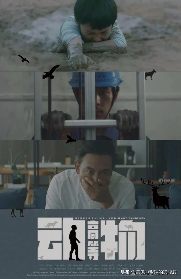 影院复工票房稳步上升，《1917》等大片定档，本周影视圈资讯汇总