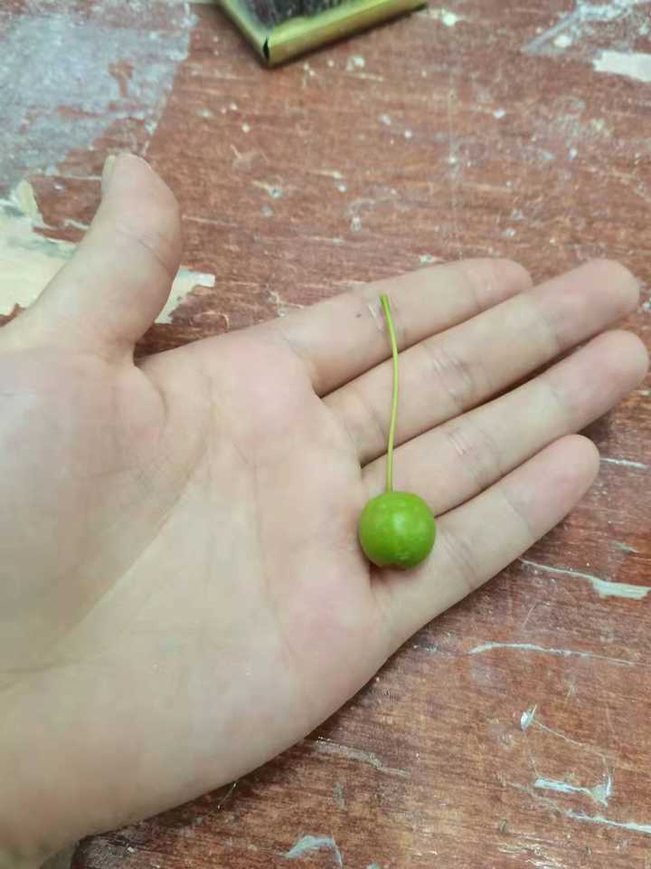 送给教师最好的礼物是什么,老师感动到哭的教师节礼物