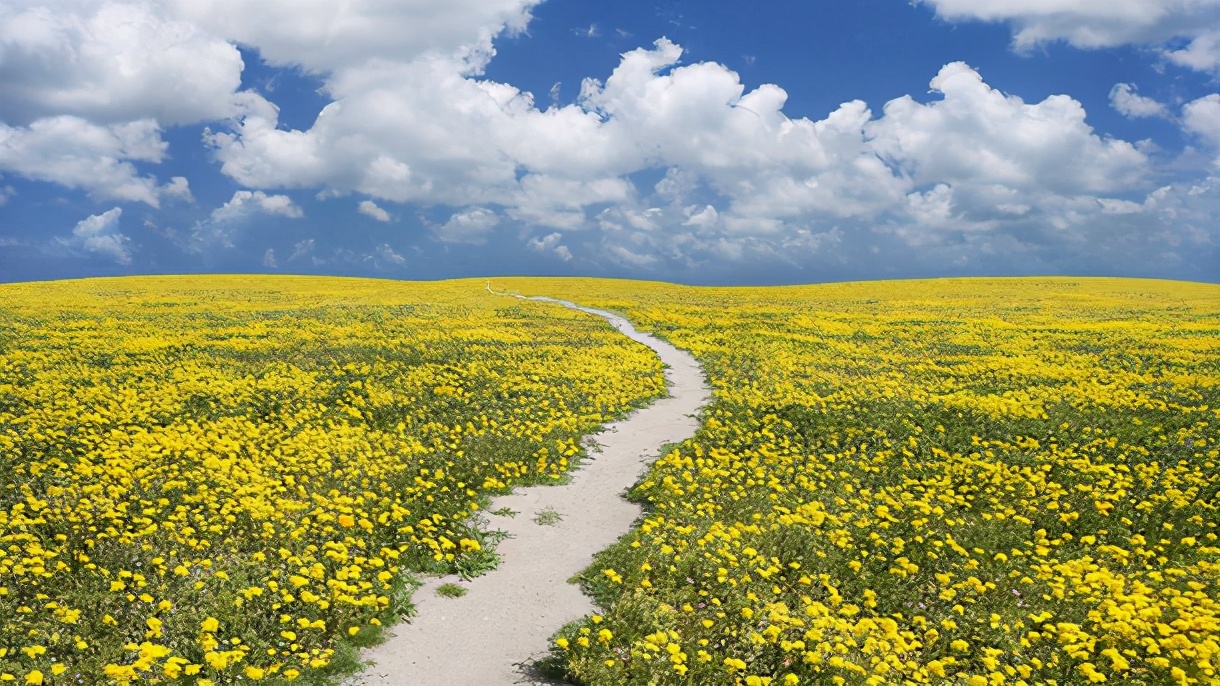 女宝名字寓意才华事业惊人的名字,取个寓意好又好听的女孩名字