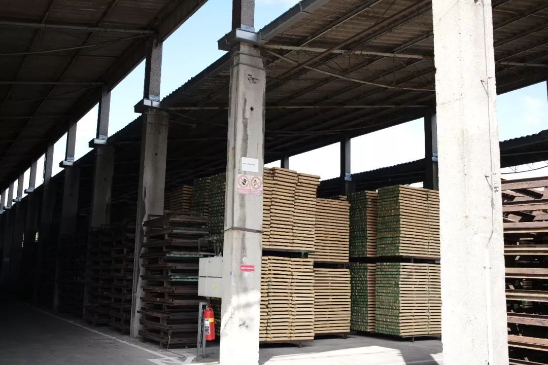 探访TON工厂看经典椅子背后的故事|疯狂24h我们去捷克干了啥?