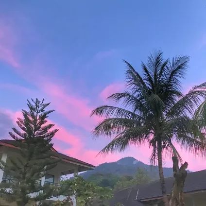 马来西亚之旅非常愉快,大玲子带爸妈去旅行马来西亚