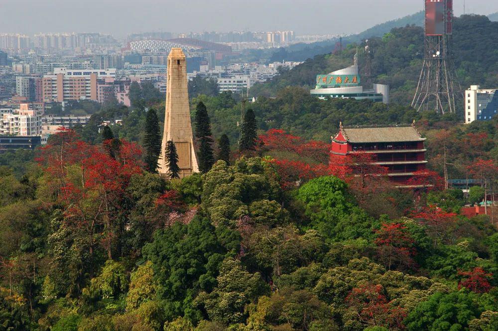 羊城通广州越秀,广州100家企业排名