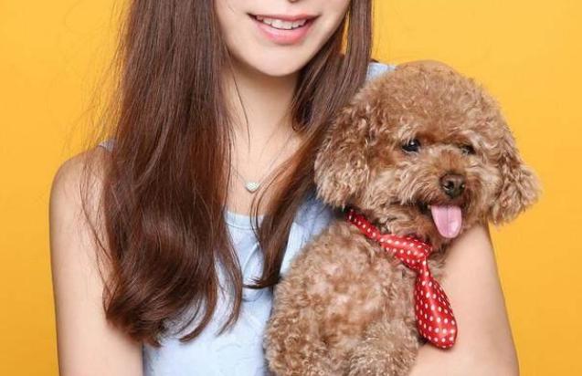 养狗小技巧从此不怕它掉毛,养狗绝不能惯的5个坏毛病很重要