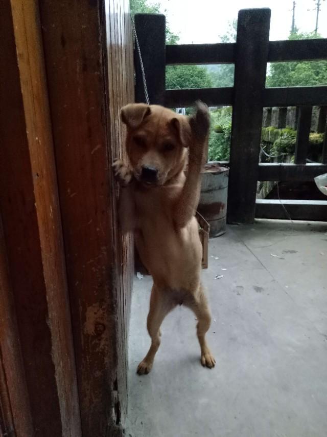 走进安静祥和的乡村,走进宁静的小镇