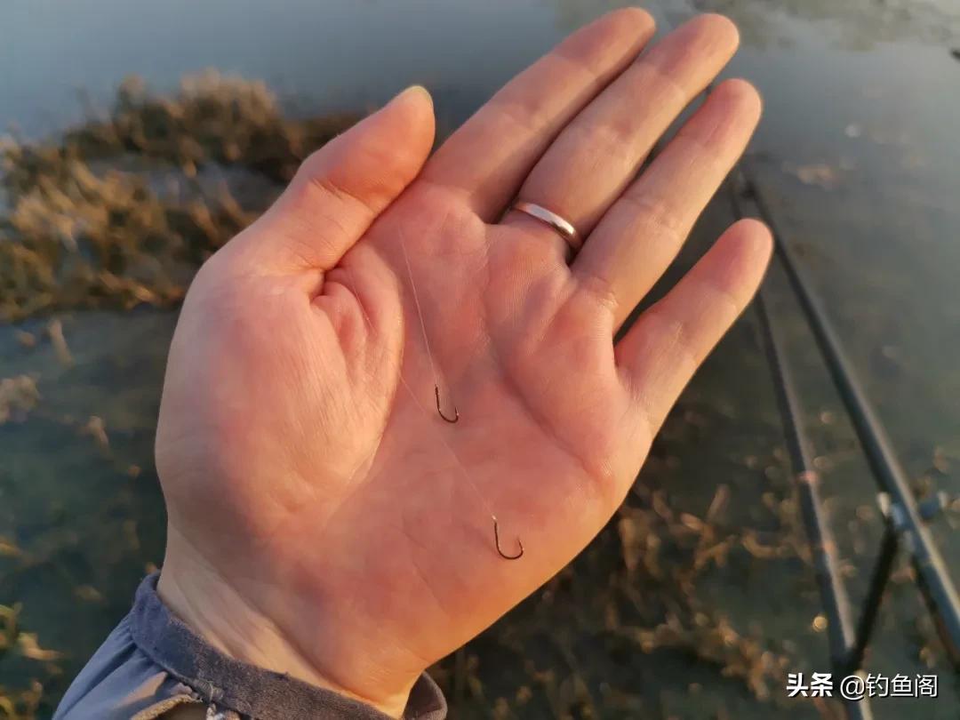 鱼线和鱼钩的最佳搭配,鱼钩搭配什么线好钓鱼