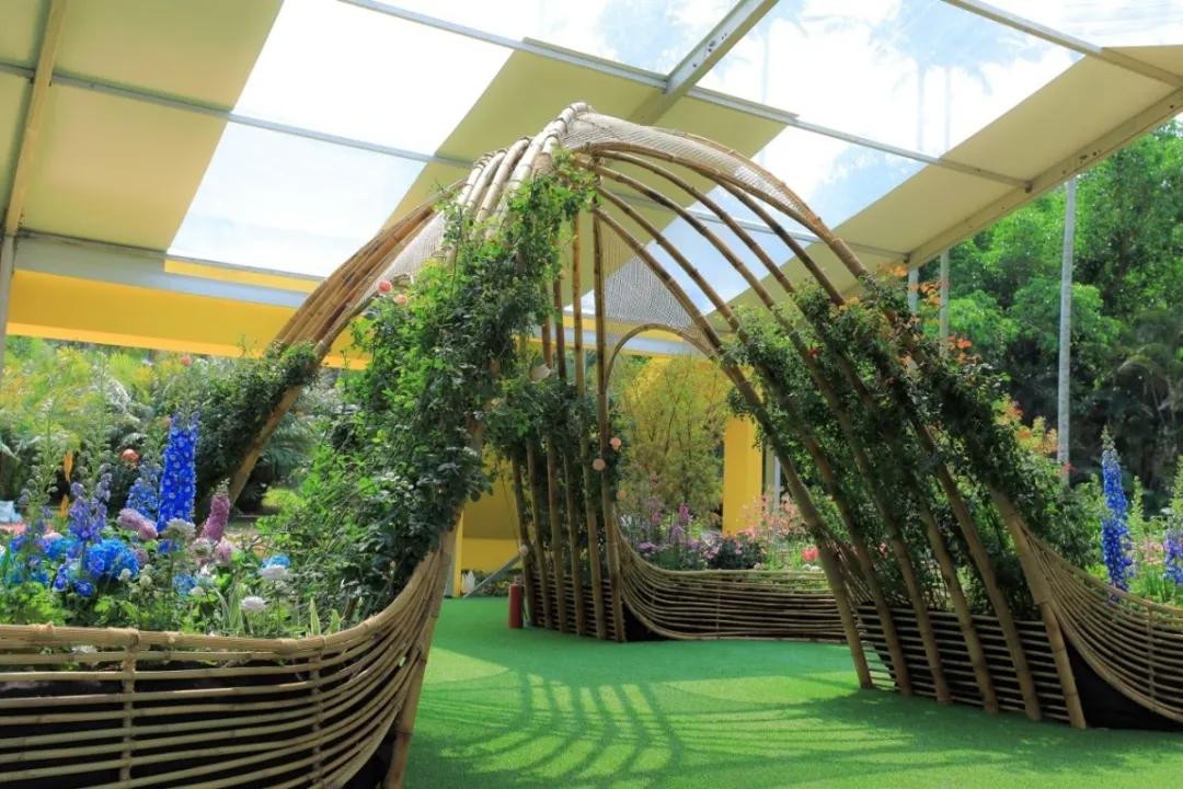 这个花展上的新优品种，为什么这么美？