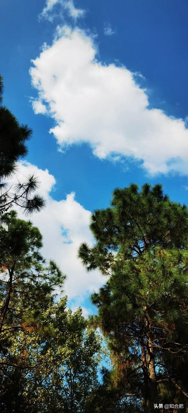 合肥国庆假期去哪玩三日游,国庆安徽三日游