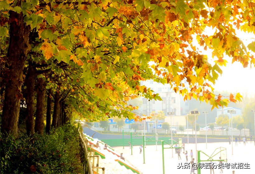 西安海棠职业学院学费,西安海棠职业学院报名
