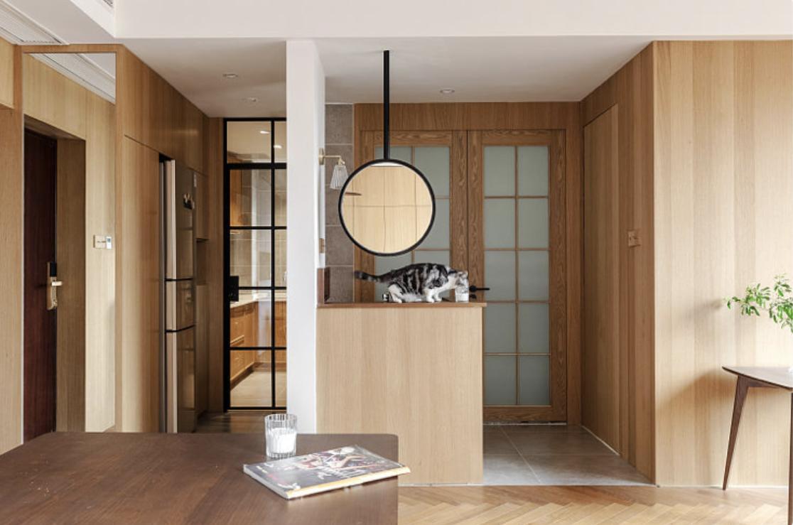 年轻人一人一猫的独居生活,一屋一人一猫的生活视频