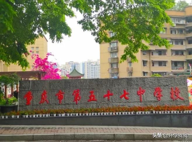 重庆小升初七龙珠择校信息汇总,重庆七龙珠初中分校最新排名