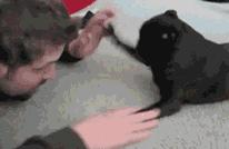 玉米地发现不明液体怎么办,玉米地发现的怪事