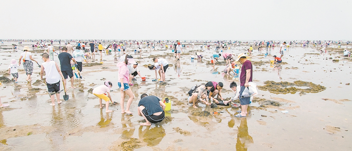 中国大陆唯一可观夕阳坠海的城市,营口是夕阳坠海的城市