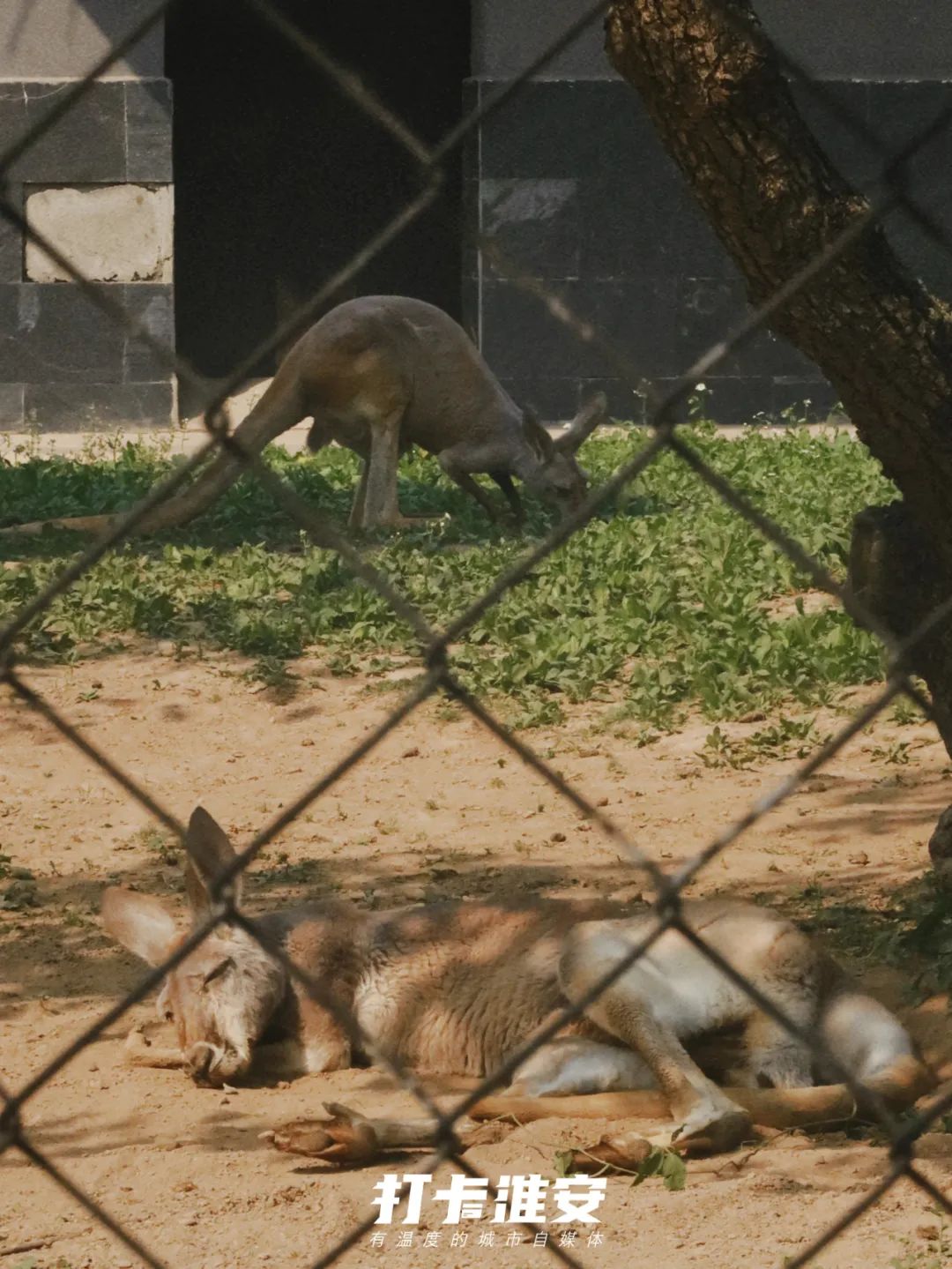 儿童节去儿童乐园,儿童节去公园玩