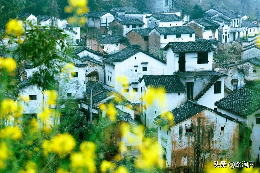 五一小长假结束再看一波各地美景,五一小长假去哪登山踏青看花好