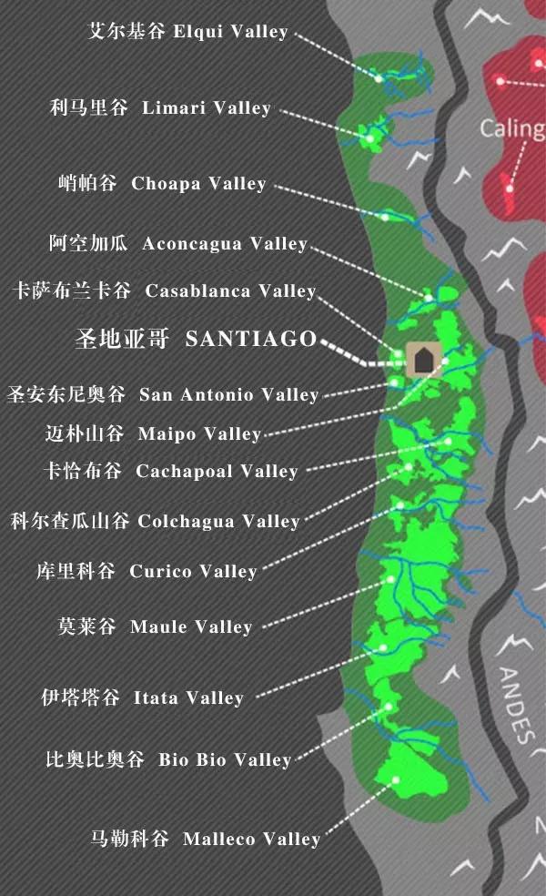 智利酒100左右推荐,智利酒性价比最高的