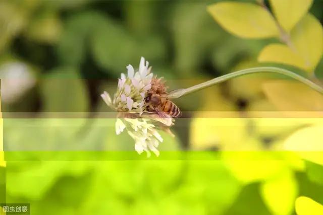 现代文阅读之知识梳理,现代文阅读训练100篇讲解