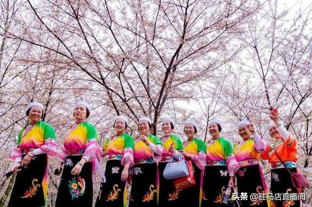 璁告槍缁勫洟鏃呮父,璁告槍鏃呮父杞満