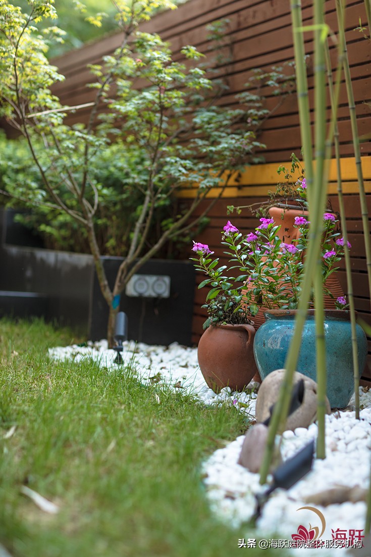 怎样建造自己的院子美观,庭院种植区该怎么设计