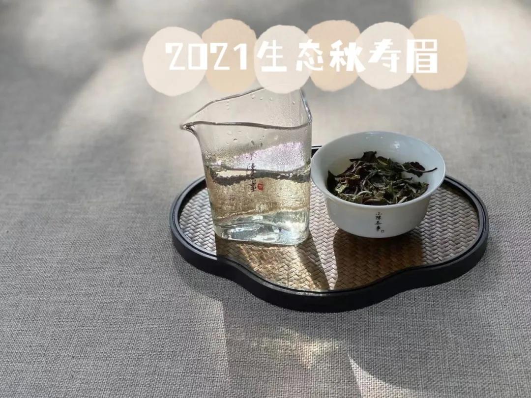白茶口感像什么茶一样好喝,白茶与铁观音的香型区别是什么