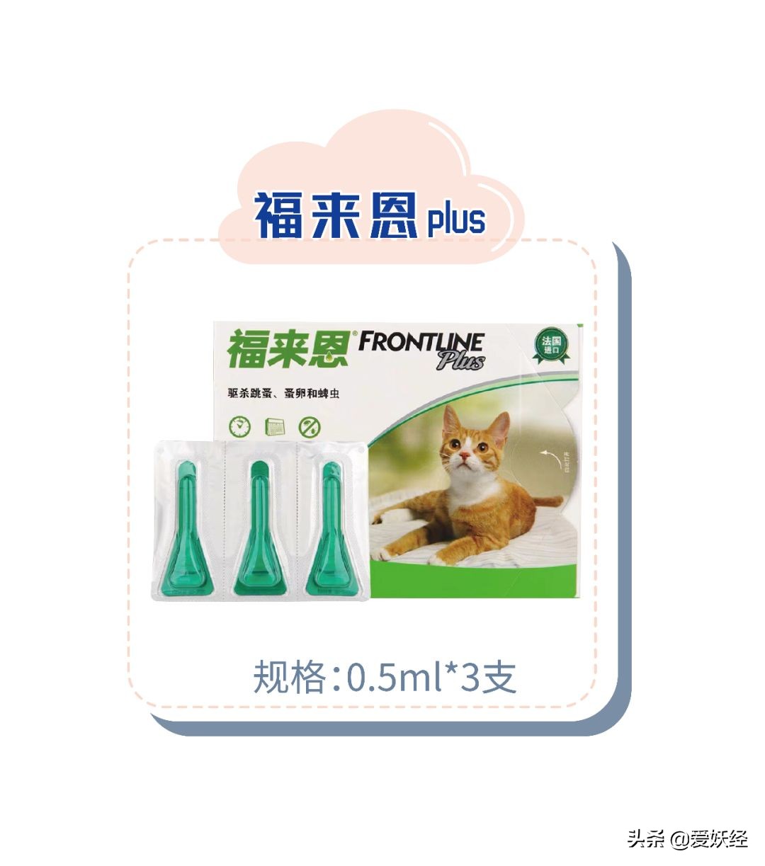 别说老狐狸不宠粉，你们要的猫用驱虫药测评！来喽