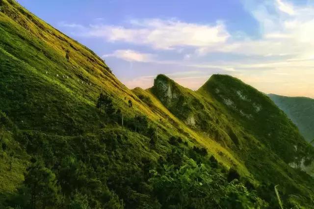 手机拍照教程零基础学摄影,手机摄影零基础怎么入门