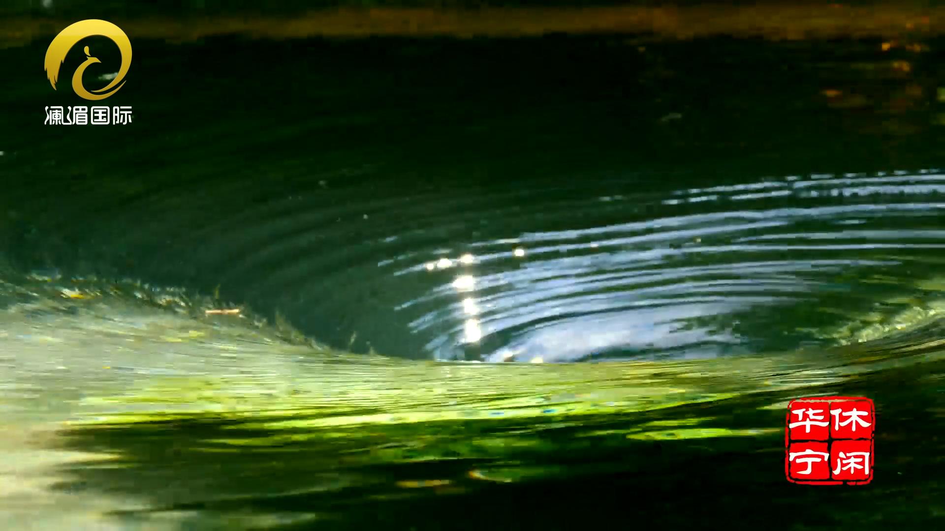 玉溪华宁象鼻森林温泉价格,华宁象鼻温泉度假村酒店