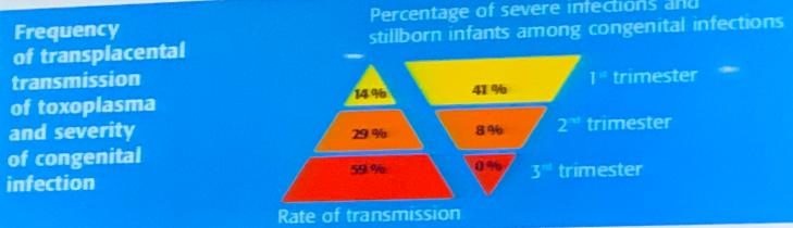 熊承良医生怎么样,torch感染实验指标