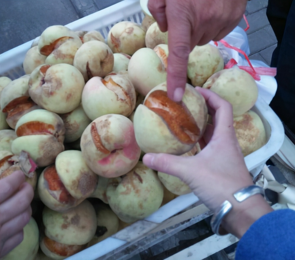 正宗又甜又脆的丑桃,即将灭绝的老品种桃子