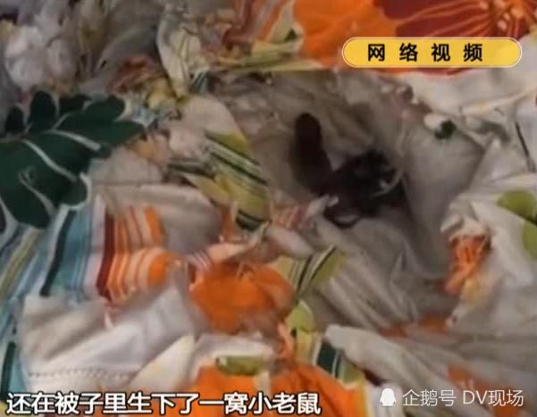 三个月没住的房间,三个月没住家里怎么办