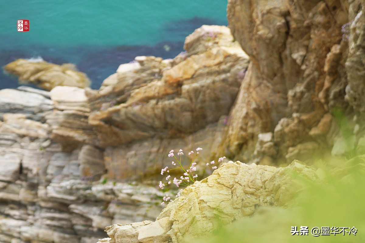 威海5月游记,威海最美一日游