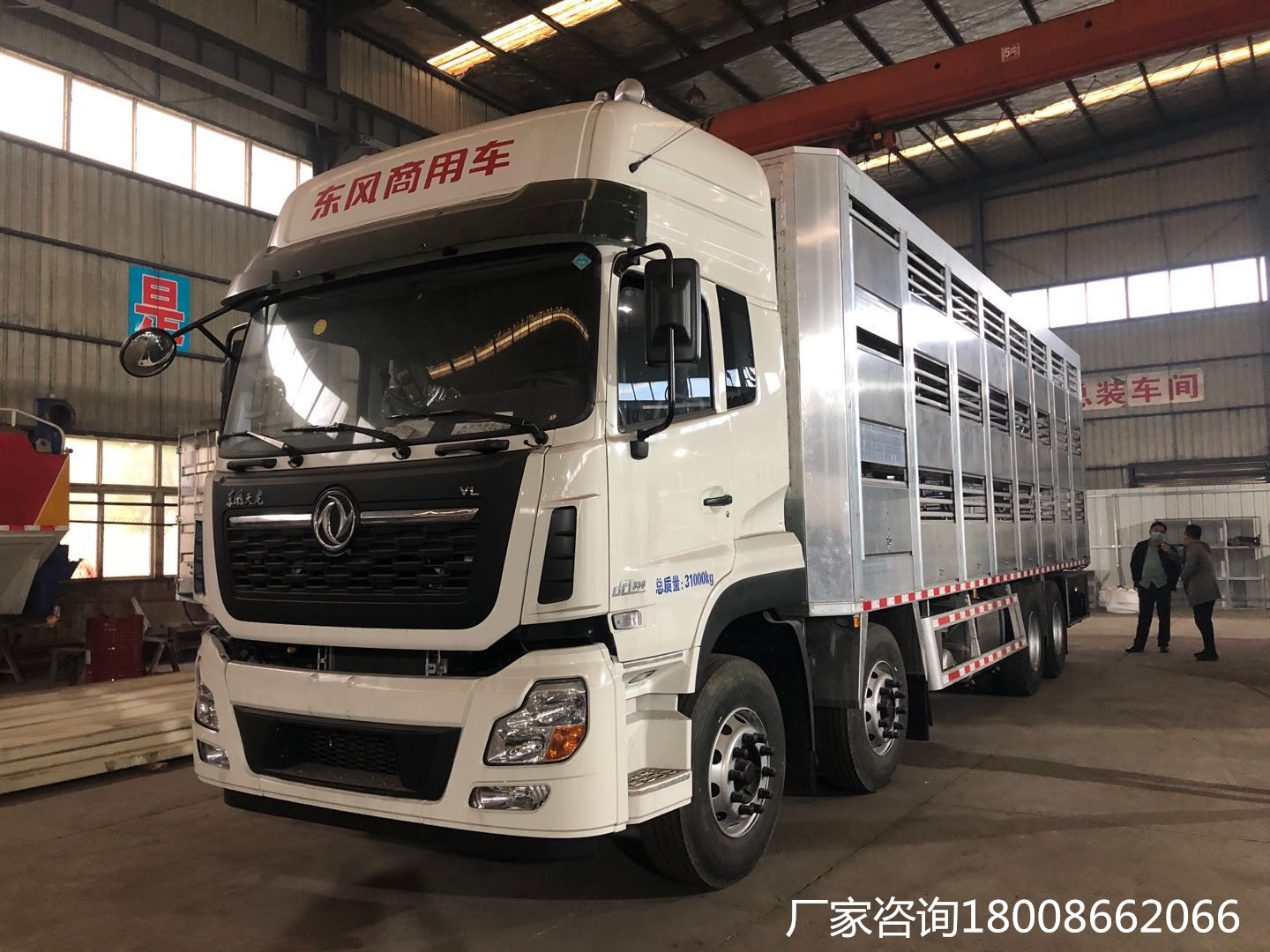 前四后八拉猪车1年赚多少钱,年赚十亿的汽车