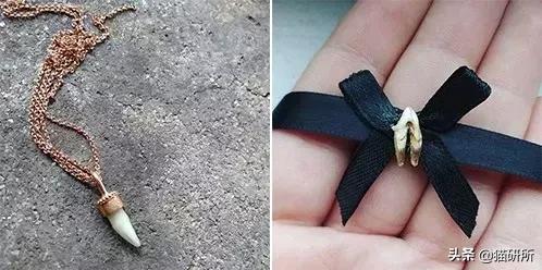 猫咪得了严重口炎怎么治,猫咪得了口炎如何能治愈