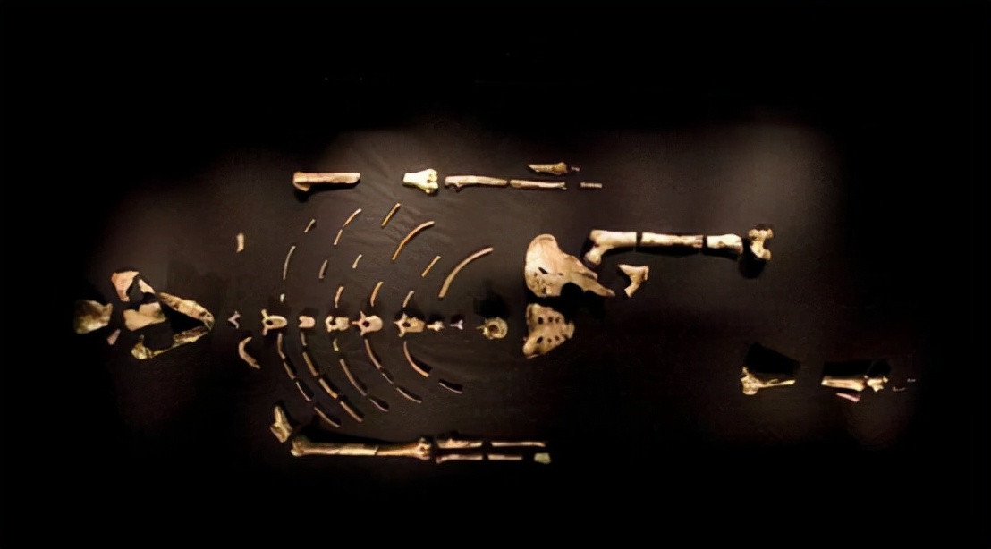 只有女人才能怀孕,只有女人会生孩子吗