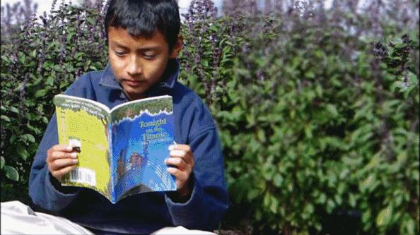 神奇树屋奥巴马,奥巴马书籍