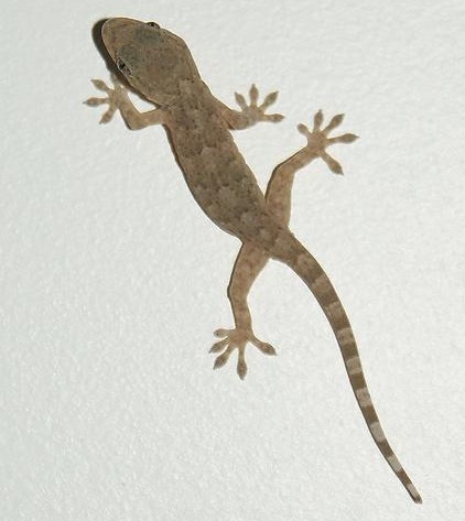 活着就是要快快乐乐,我开开心心快快乐乐的活着说说