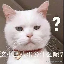 留学生的孤独等级大测评,留学生异国恋的心酸