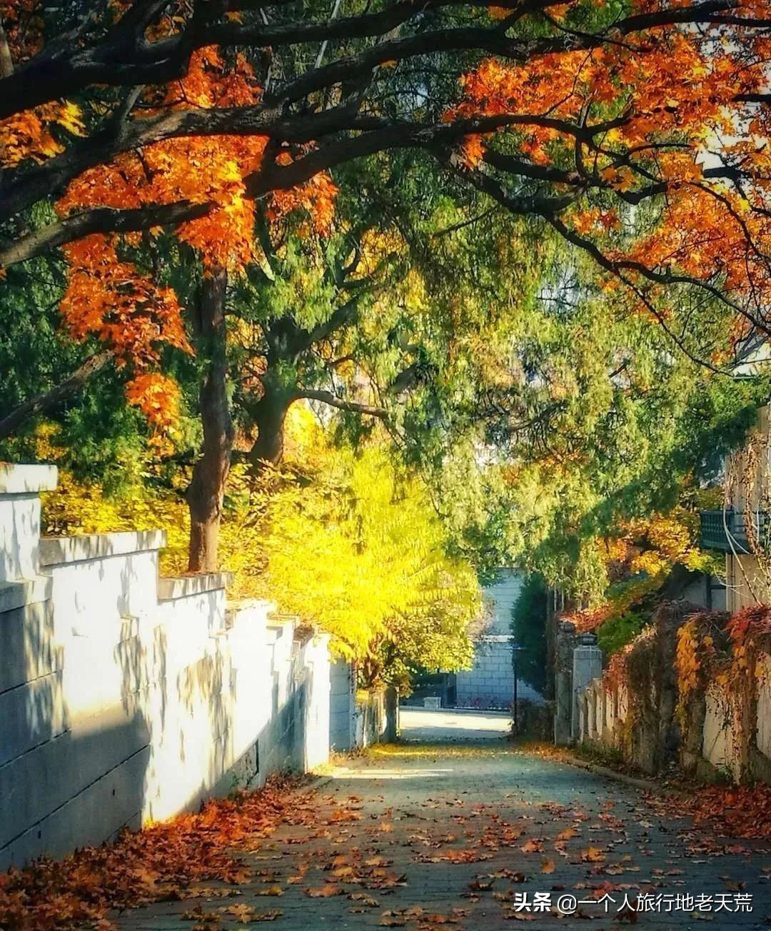 厦门海滨老城旅游,厦门最美海滨城