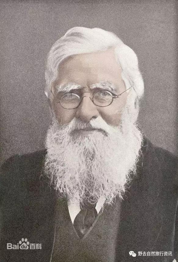 希望疫情早点结束能陪孩子多走走,待疫情彻底过去