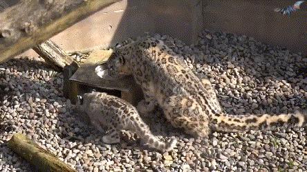 丢人搞笑动图gif,搞笑gif趣图世人皆醒我独睡