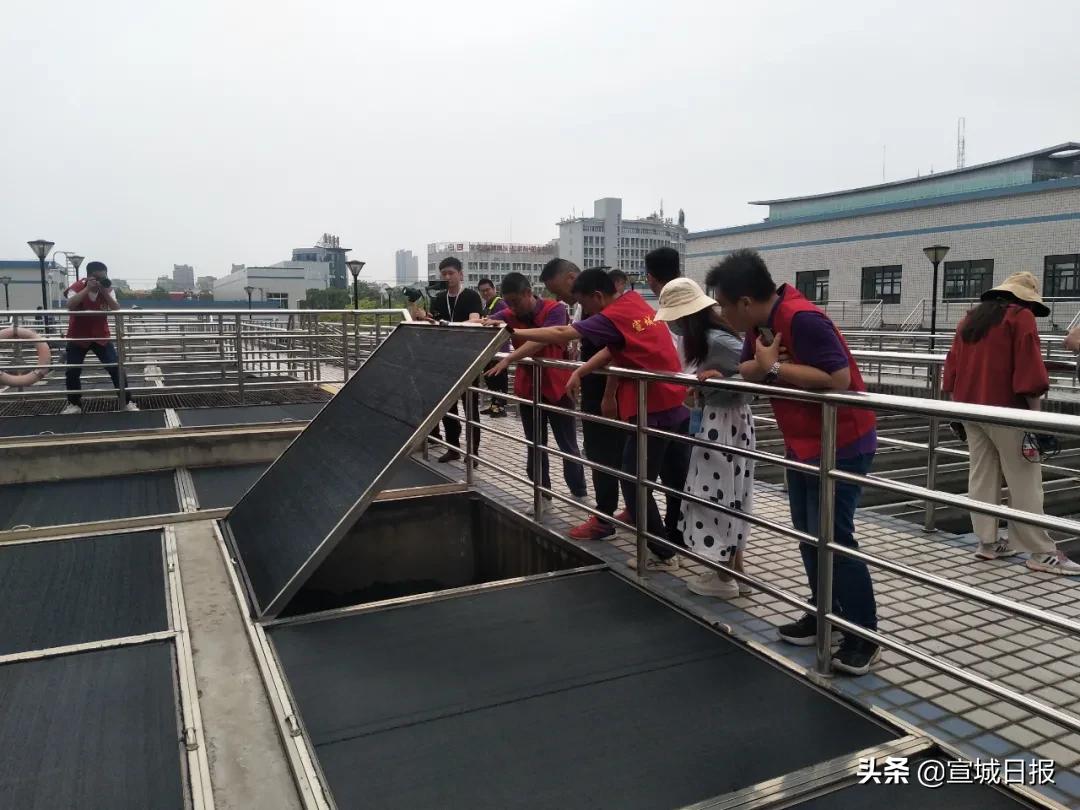 自来水是怎么来的小报,自来水是怎么来的视频