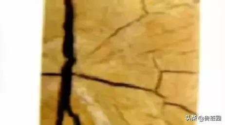 木材的主要缺陷,木材缺陷有哪些