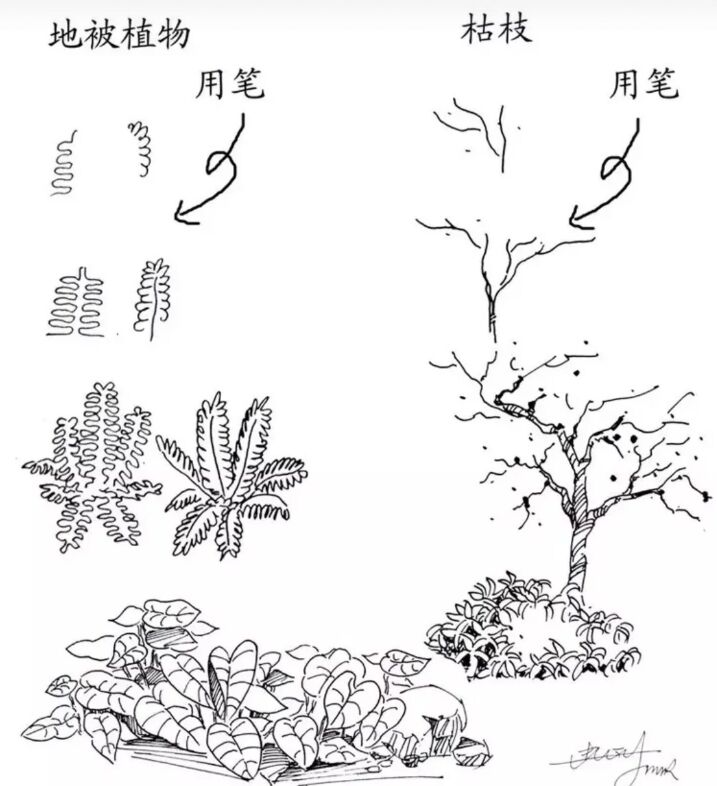 入门风景速写1000例临摹图,风景速写教你超简单的树木画法