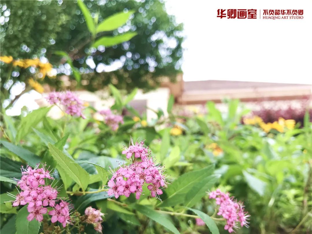 北京华卿画室一月多少钱,在北京华卿画室参加美术培训好吗