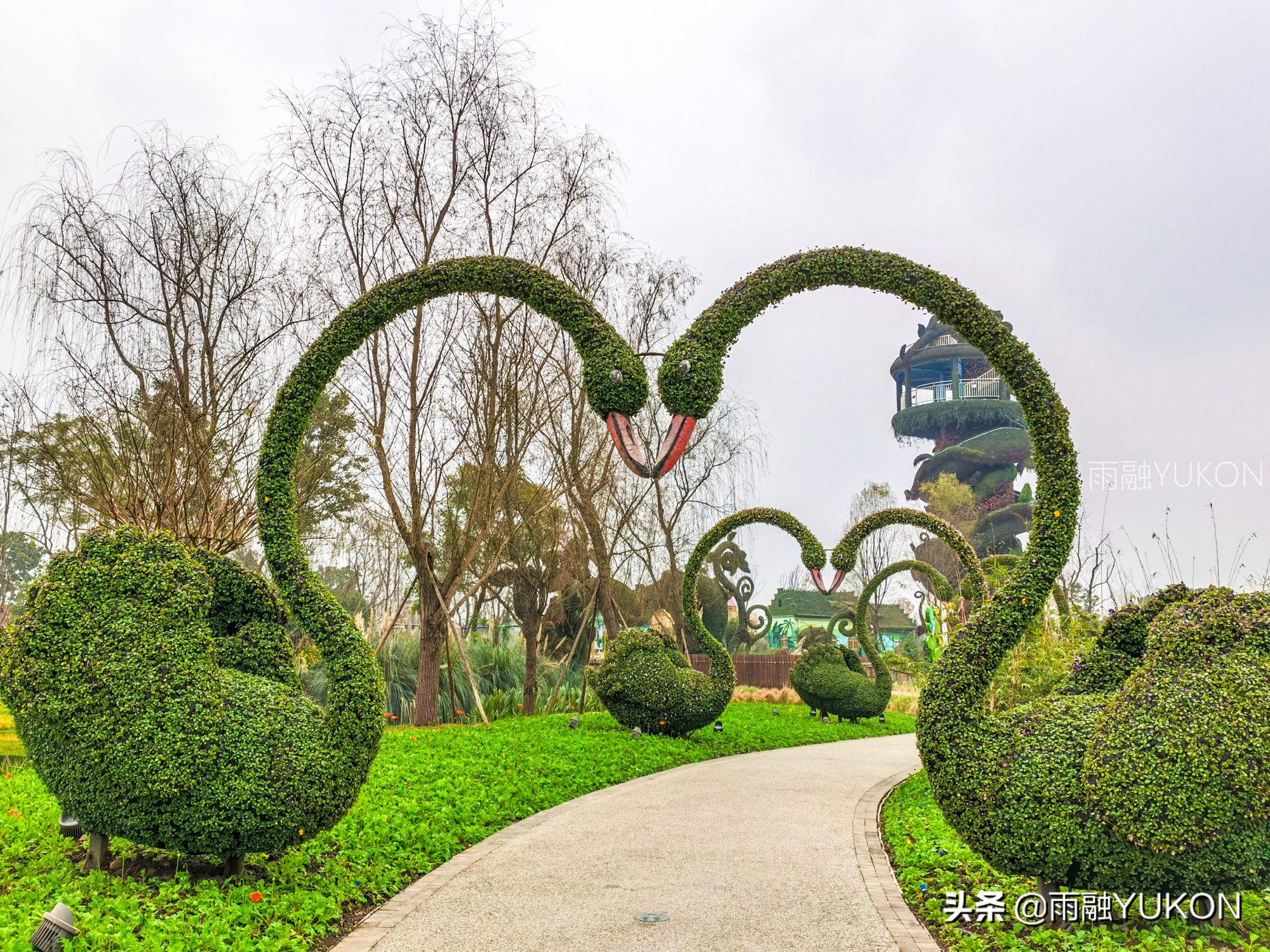 坐拥2项世界纪录的公园:拥有2.2万平米花海,门票仅30元却少有知