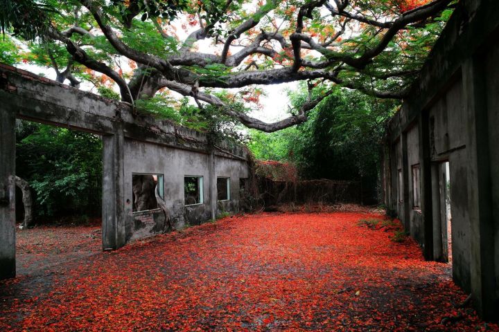 去台湾一定要去的地方,普通人去台湾攻略
