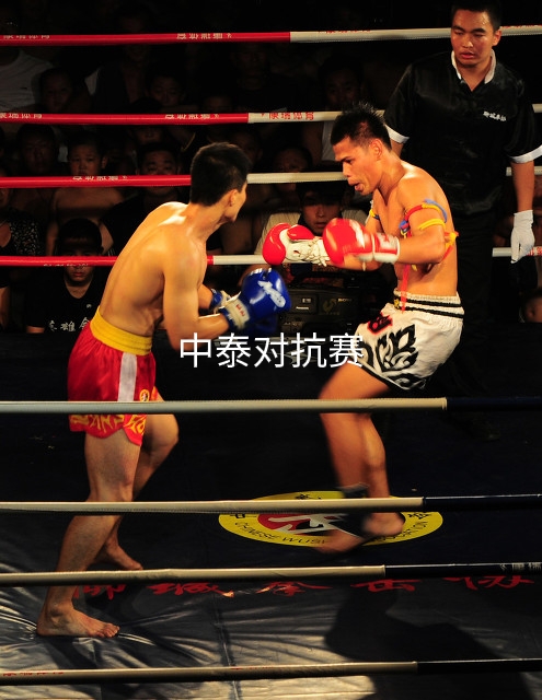 散打拳法太弱,泰拳踢拳散打谁最强