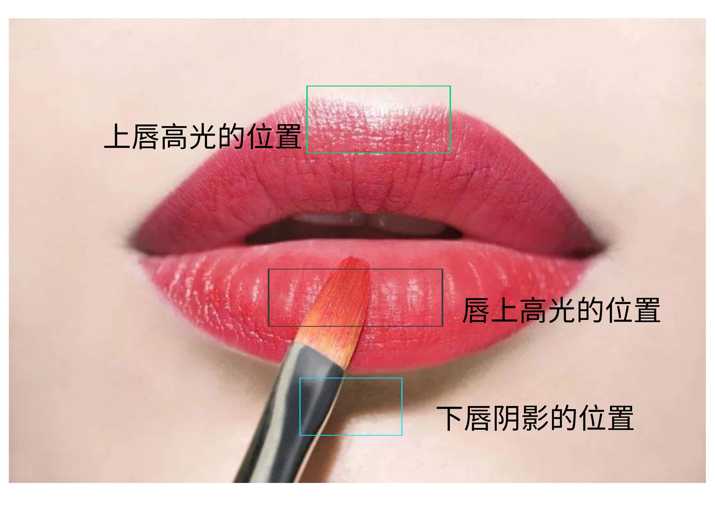 1000个人的唇能让同一支口红有一千个色号？买错后我做了深入研究