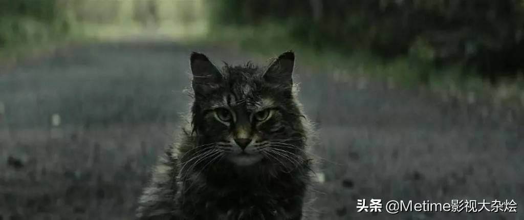 最近的七部恐怖片,24部恐怖片电影