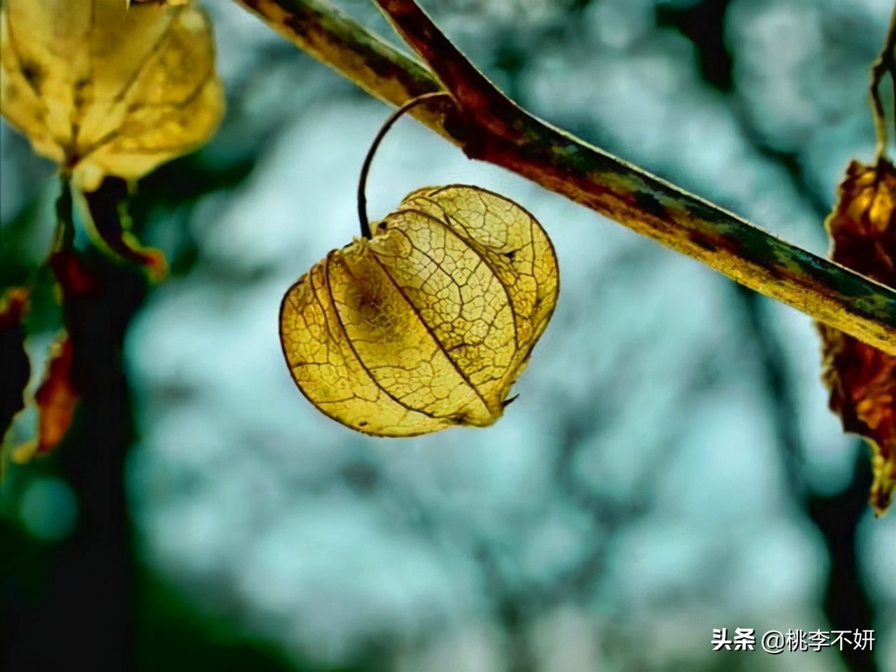 愿余生与你岁月静好安暖相伴,你若安然我便安好